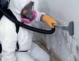 Forensic Mold Investigation in Shelbina, MO